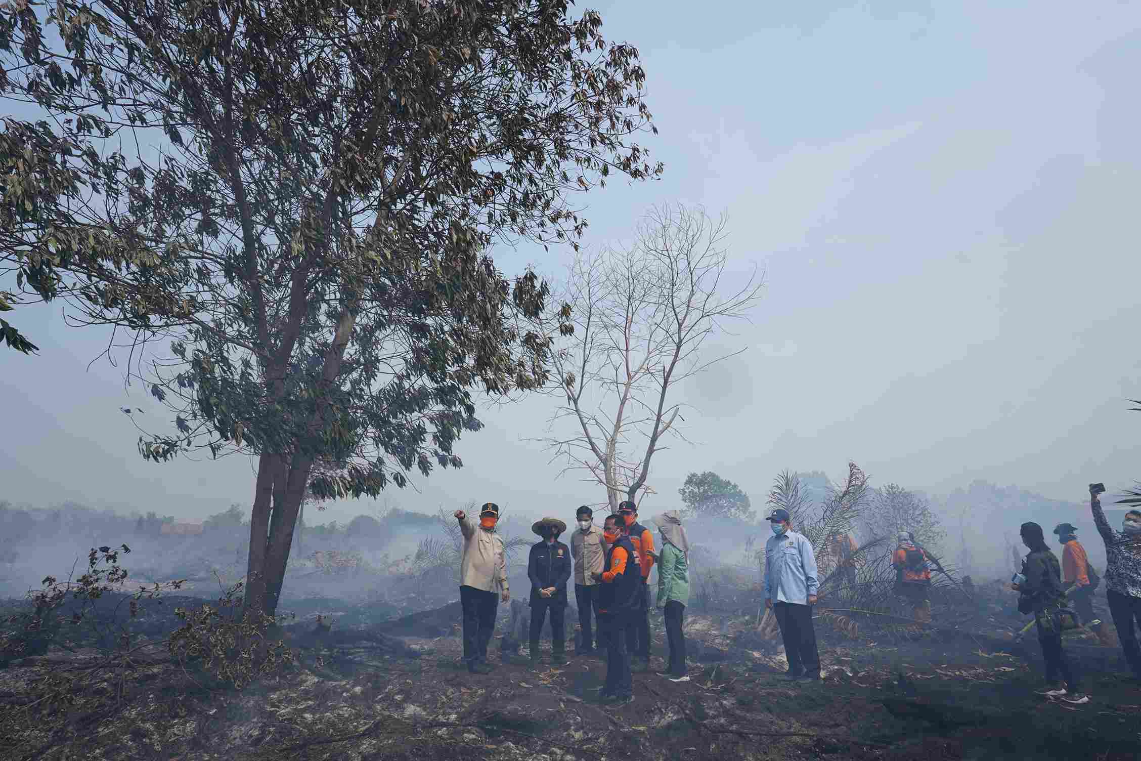 Wagub Kalteng Pantau Karhutla Palangka Raya, BPB-PK Kalteng Perkuat Penanganan Lapangan