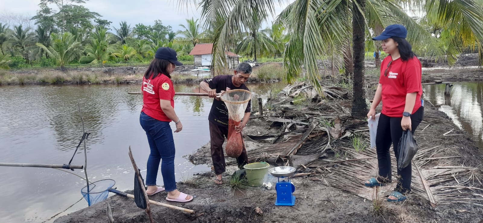 Dukung Keamanan Hasil Budidaya, Dislutkan Lakukan Sampling Residu Udang Vaname