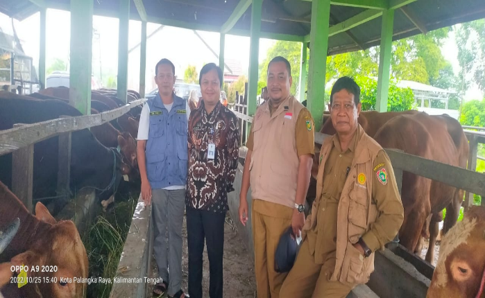 Dalam Rangka Penyediaan Ternak Sapi di Kalteng, Dinas Peternakan Prov. Jawa Timur Kunjungi Dinas TPHP