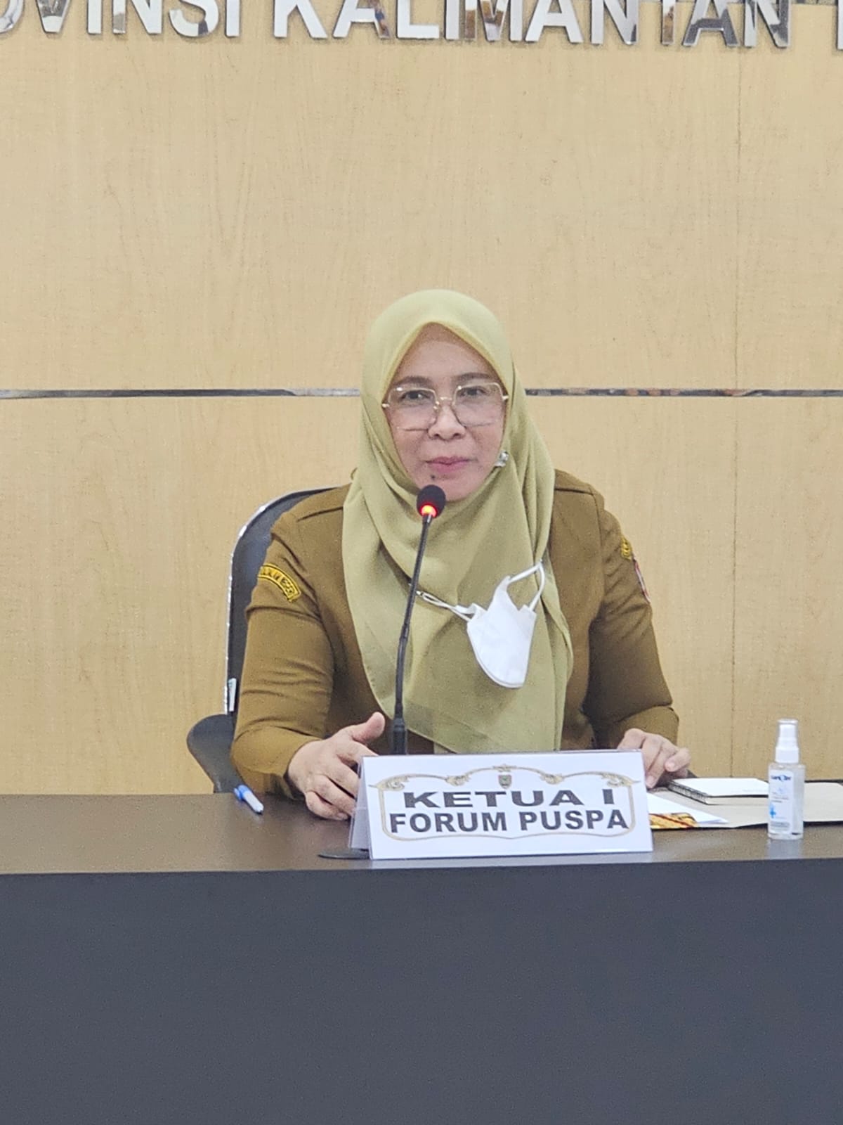 Dinas P3APPKB Prov. Kalteng Gelar Pertemuan dengan Forum PUSPA Prov. Kalteng