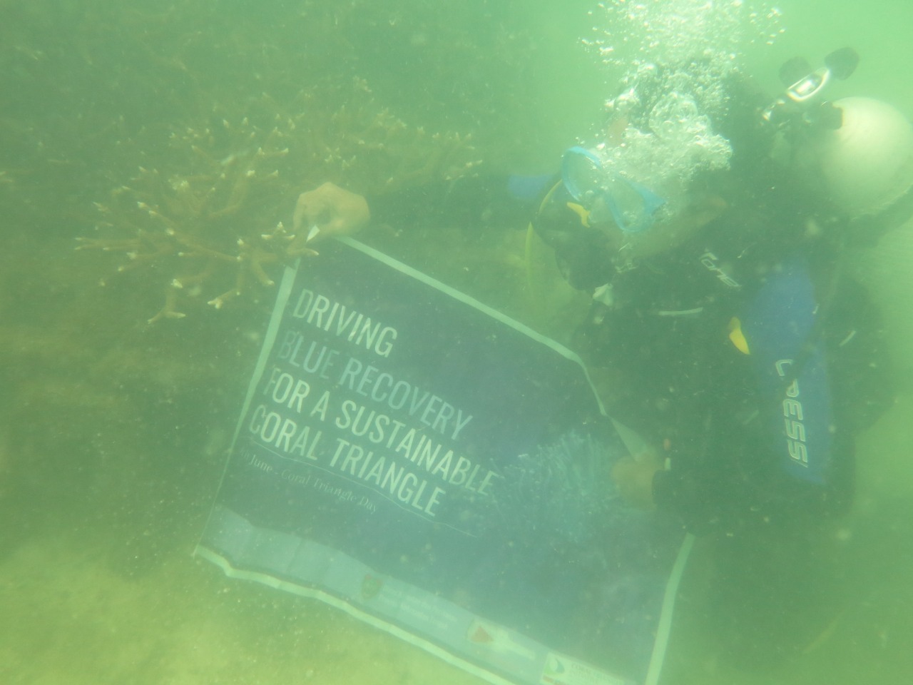 Sambut Peringatan Hari Segitiga Terumbu Karang, Dislutkan Prov Kalteng Laksanakan Kegiatan Penyelaman di Kawasan Konservasi Perairan Gosong Senggora