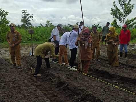 Dinas TPHP Komitmen Wujudkan Ketahanan Pangan di Kalimantan Tengah