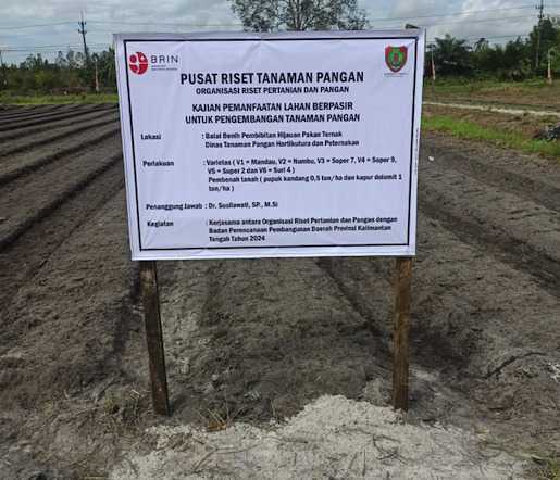 Dinas TPHP Komitmen Wujudkan Ketahanan Pangan di Kalimantan Tengah