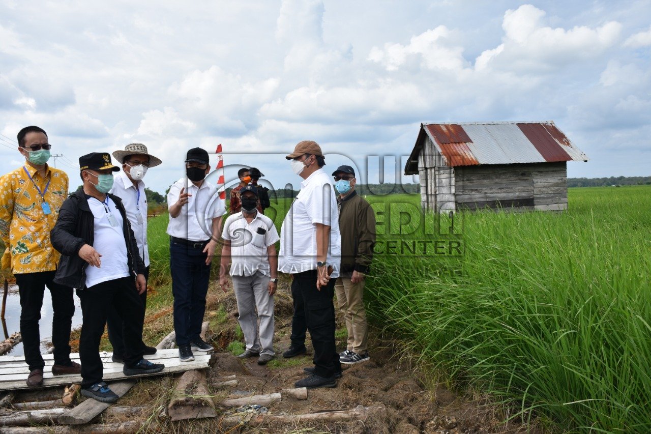 Bupati Kapuas Dampingi Kunjungan Menko Perekonomian RI, Menteri ATRI RI dan Wamenko Perdagangan RI