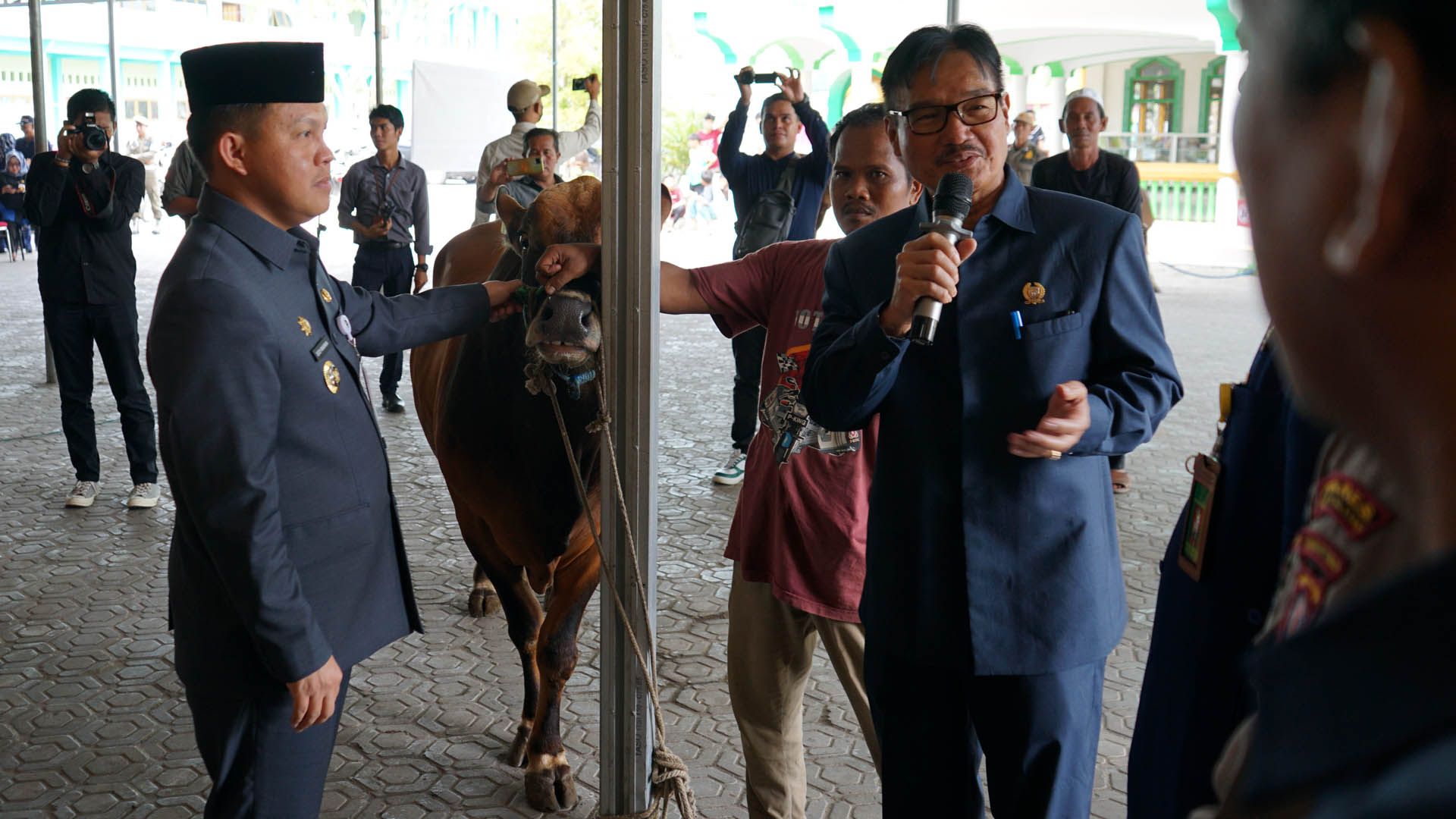 Pemkab Barsel Serahkan Hewan Kurban 100 Ekor Sapi Kepada Masyarakat
