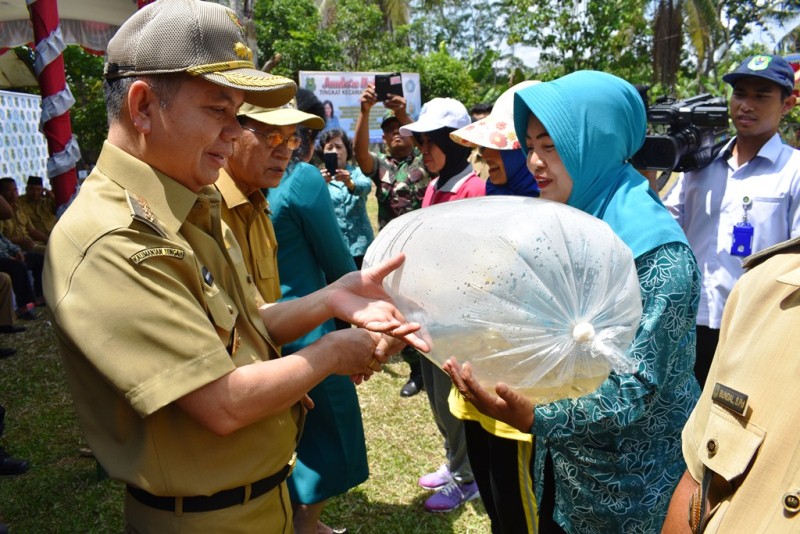 Bupati Membuka Jambore PKK Pertama di Kapuas Hilir