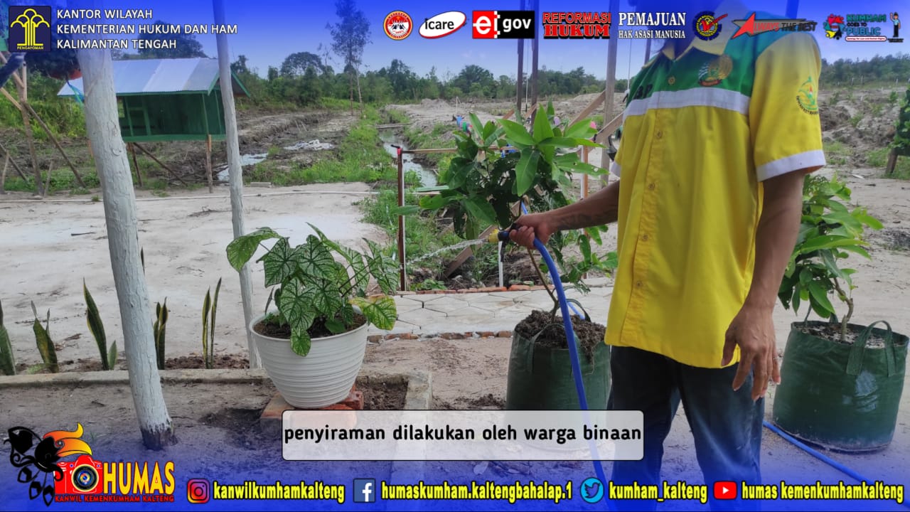 Jaga Pertumbuhan Tanaman Dengan Rutin Melakukan Penyiraman