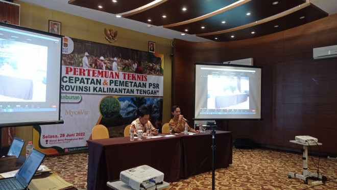 Percepatan dan Pemetaan PSR Kalteng, Dinas TPHP Paparkan Potensi dan Kendala PSR di Kobar