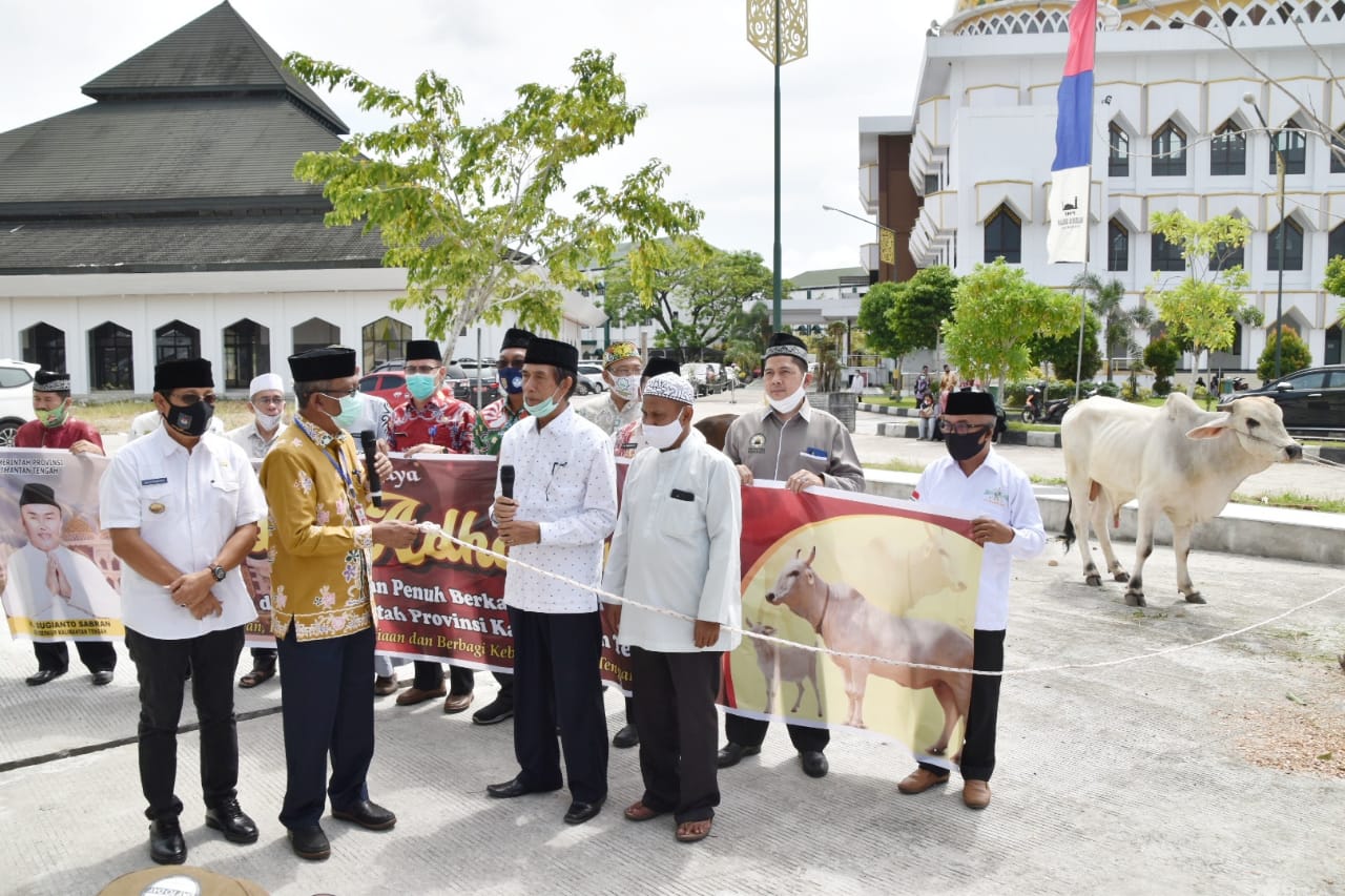 Pemprov. Kalteng Salurkan Bantuan 64  Ekor  Sapi  Untuk Masyarakat Kota Palangka Raya