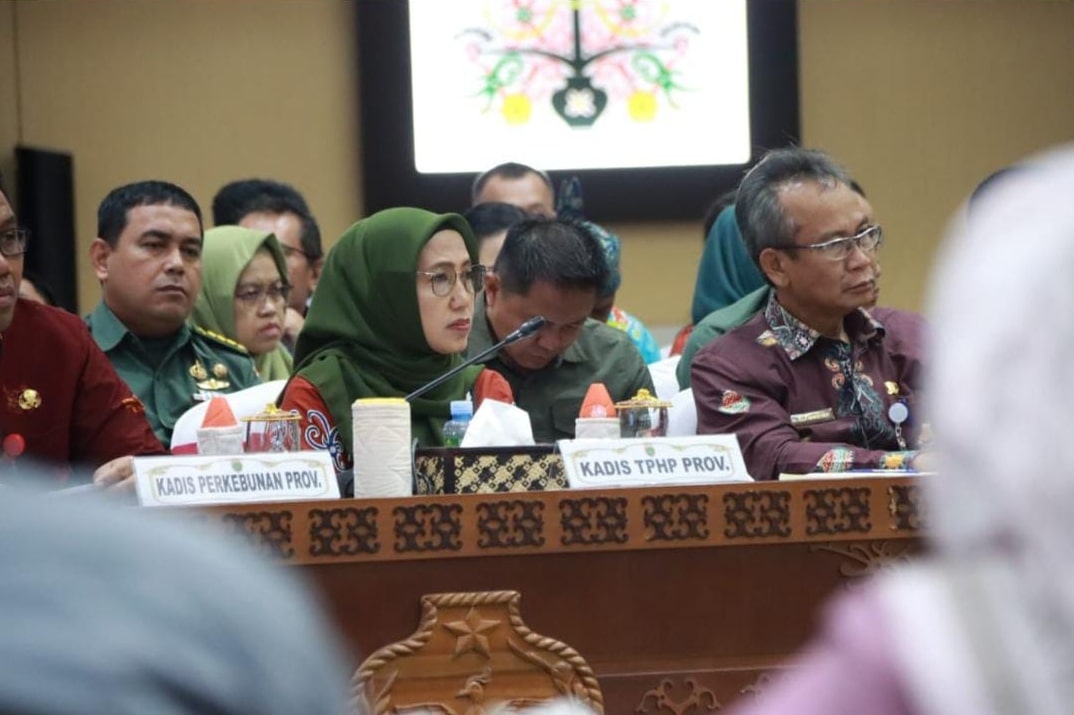 Kepala Dinas TPHP Hadiri Rapat Kerja Pemantapan Optimasi Lahan Food Estate Padi Nasional di Prov. Kalteng