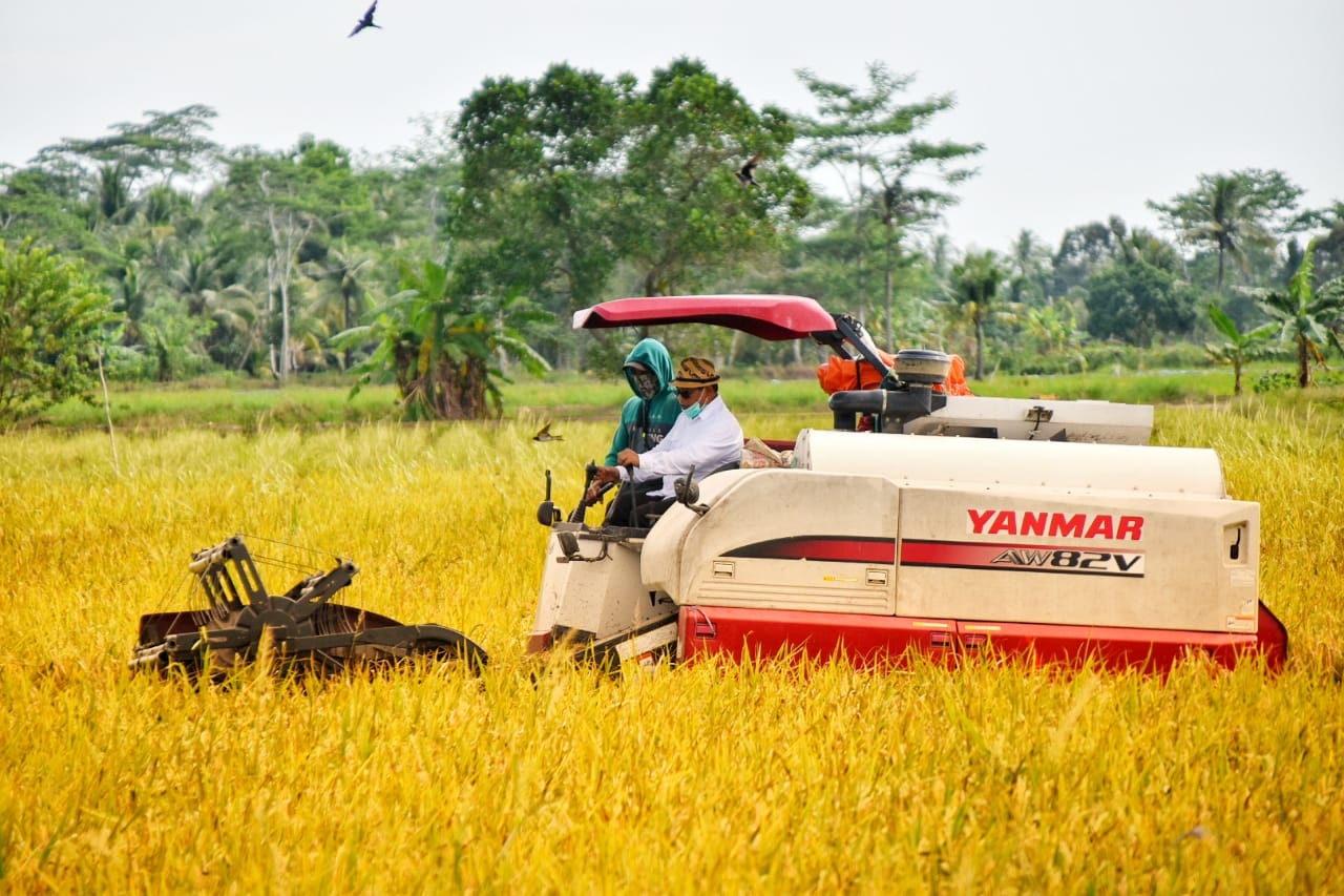 Plt. Gubernur Kalteng Tinjau Kawasan Pembangunan dan Pengembangan Food Estate di Desa Terusan Kab. Kapuas