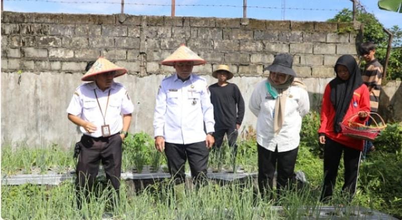 Perkuat Edukasi Tanam Bawang Merah di Pekarangan,  Dinas TPHP Prov Kalteng Terapkan Teknologi Benih TSS