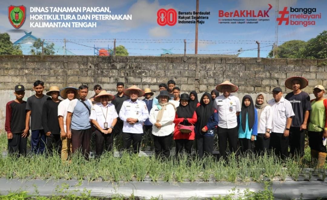 Perkuat Edukasi Tanam Bawang Merah di Pekarangan,  Dinas TPHP Prov Kalteng Terapkan Teknologi Benih TSS