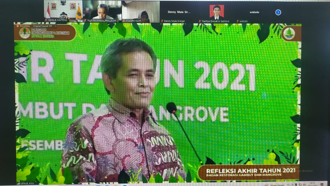 Wagub Kalteng Sampaikan Pandangan Pelaksanaan Restorasi Gambut & Rehabilitasi Magrove