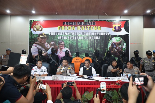Tersangka sarangkan 17 peluru ke Tubuh Orangutan