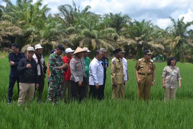 Konsiten Kembangkan Tanaman Padi, Pj Bupati Kobar Apresiasi Petani Desa Palih Baru