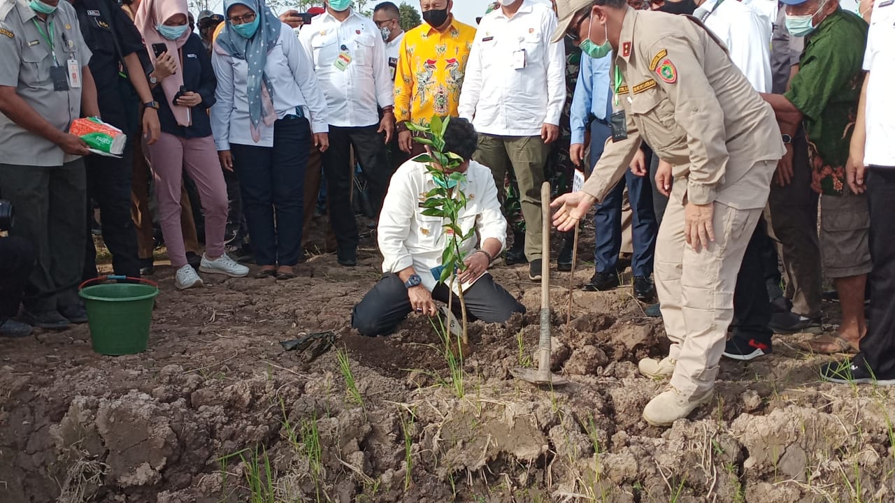 Mentan Lakukan Penanaman Perdana Pada Areal Food Estate Di Desa Tahai Baru Kab. Pulang Pisau