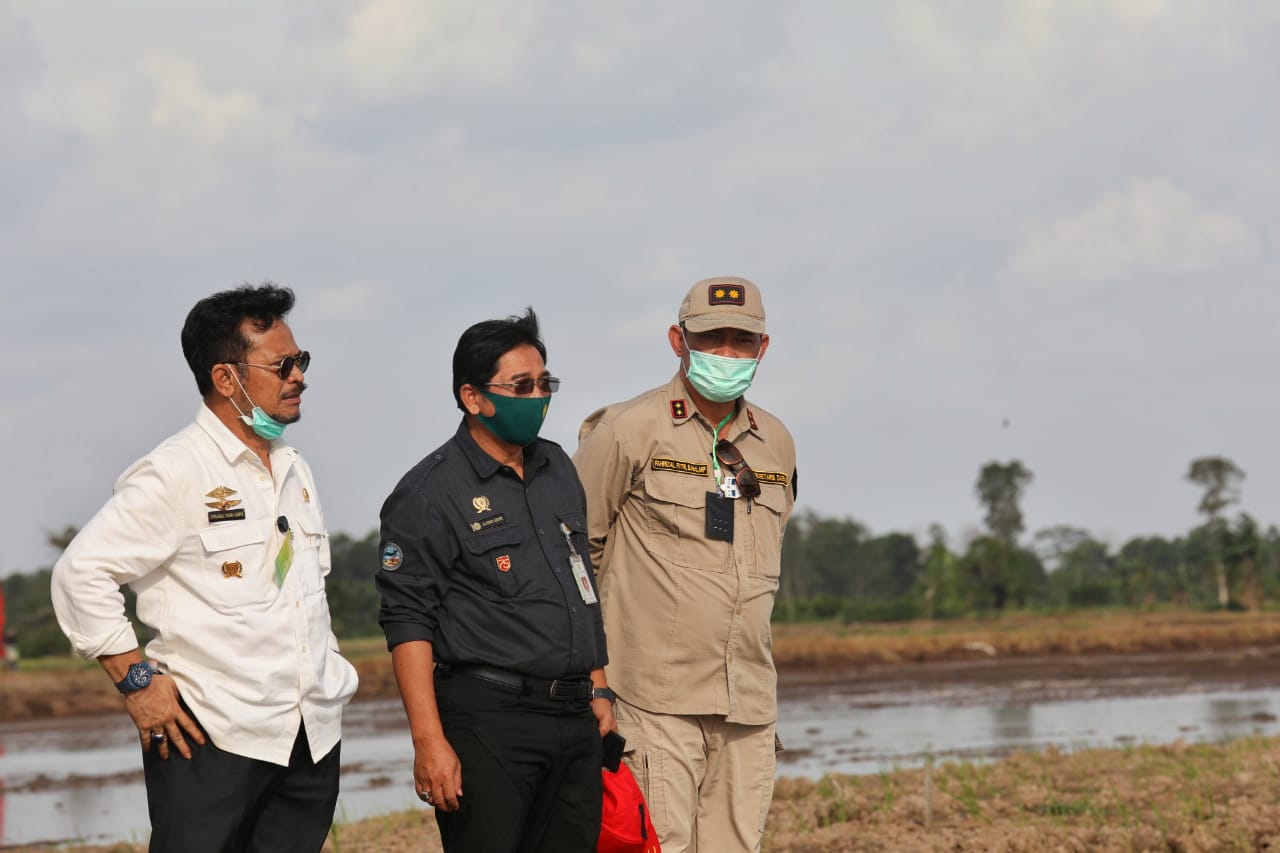 Mentan Lakukan Penanaman Perdana Pada Areal Food Estate Di Desa Tahai Baru Kab. Pulang Pisau